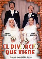 El divorcio que viene movie nude scenes